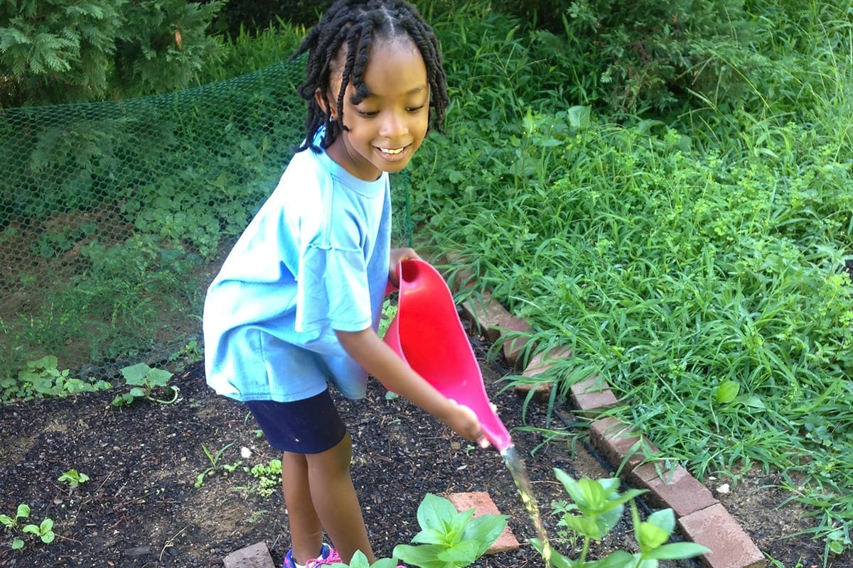 Well-Rounded Lessons Take A “Whole-Child” Technique